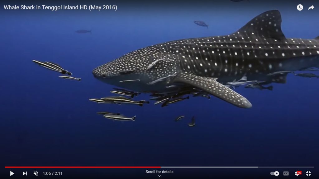 2fdedb2a-3b4d-4e83-bca0-445f840139b9