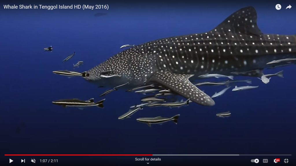 2fdedb2a-3b4d-4e83-bca0-445f840139b9