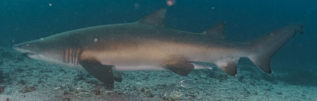 095c7b9a-3d06-4281-86d0-29bc6fcfaba7