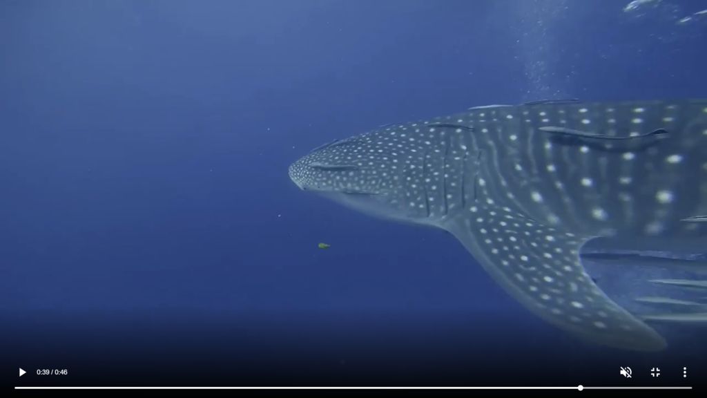 5fb991dd-1725-4e3e-904f-092a42ae02e9