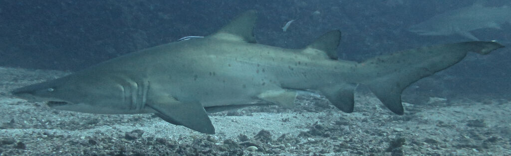 e21801bf-8e6b-4674-b18f-b6ad5690b221