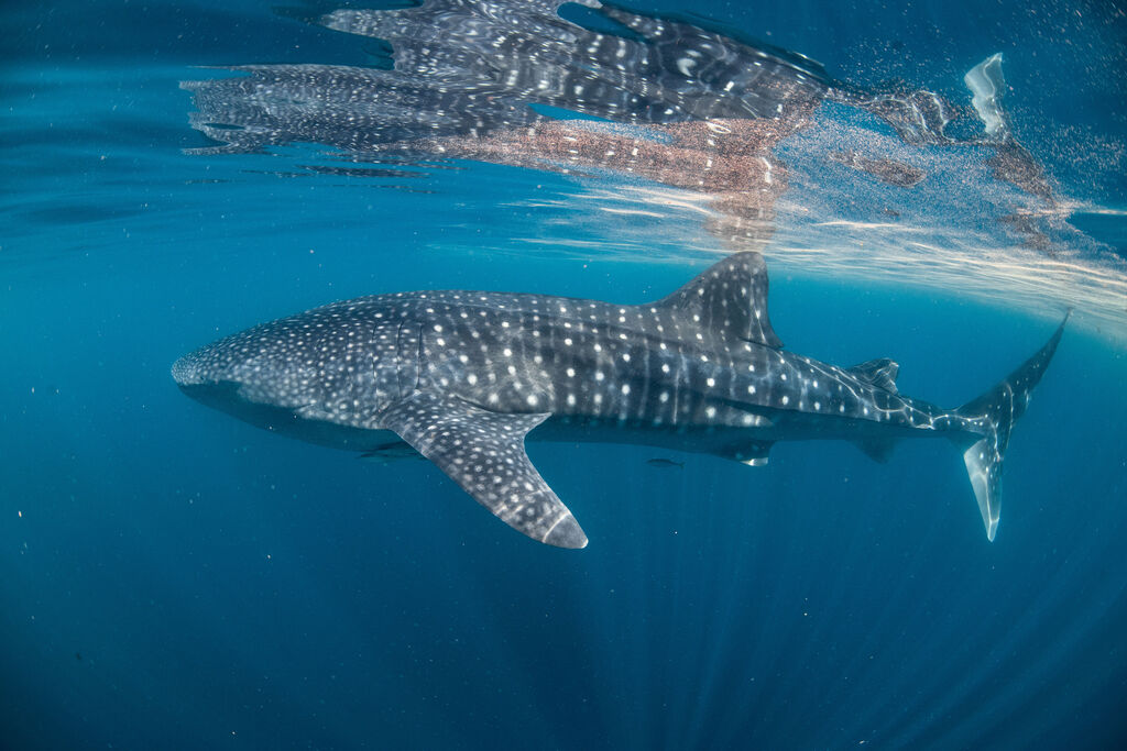 b5ead99c-d237-4330-8999-43bff65cb874