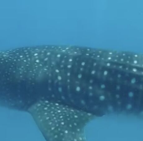 fa9c643a-c134-4686-93ab-2e8e29fc1962