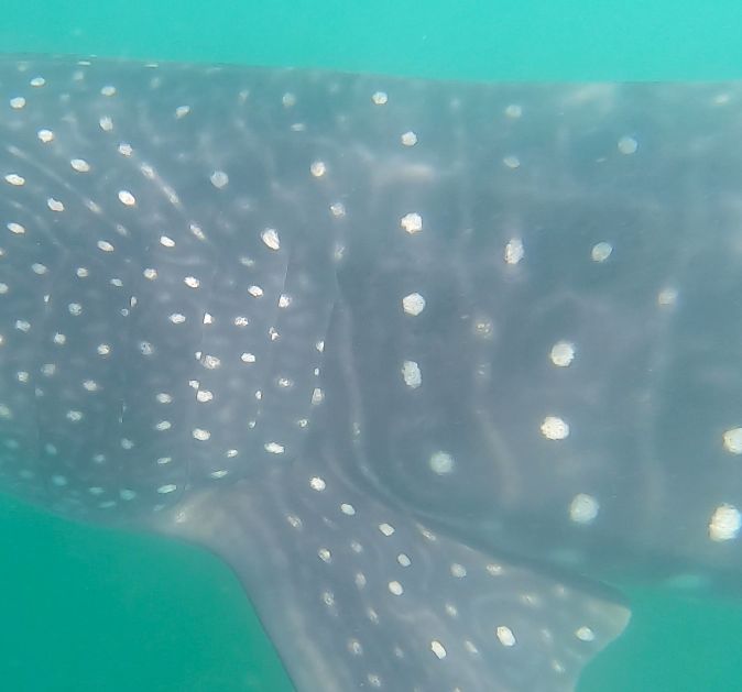 66ec7576-e3da-4fef-8f47-f8cf9d327d52