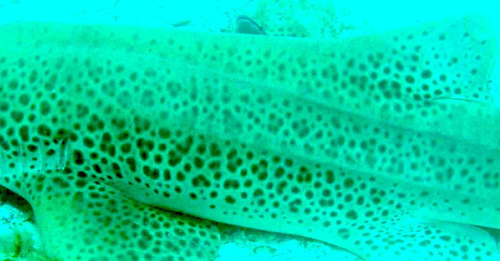 0d11dc9a-cb80-45b2-87f3-7a85b60d8c37