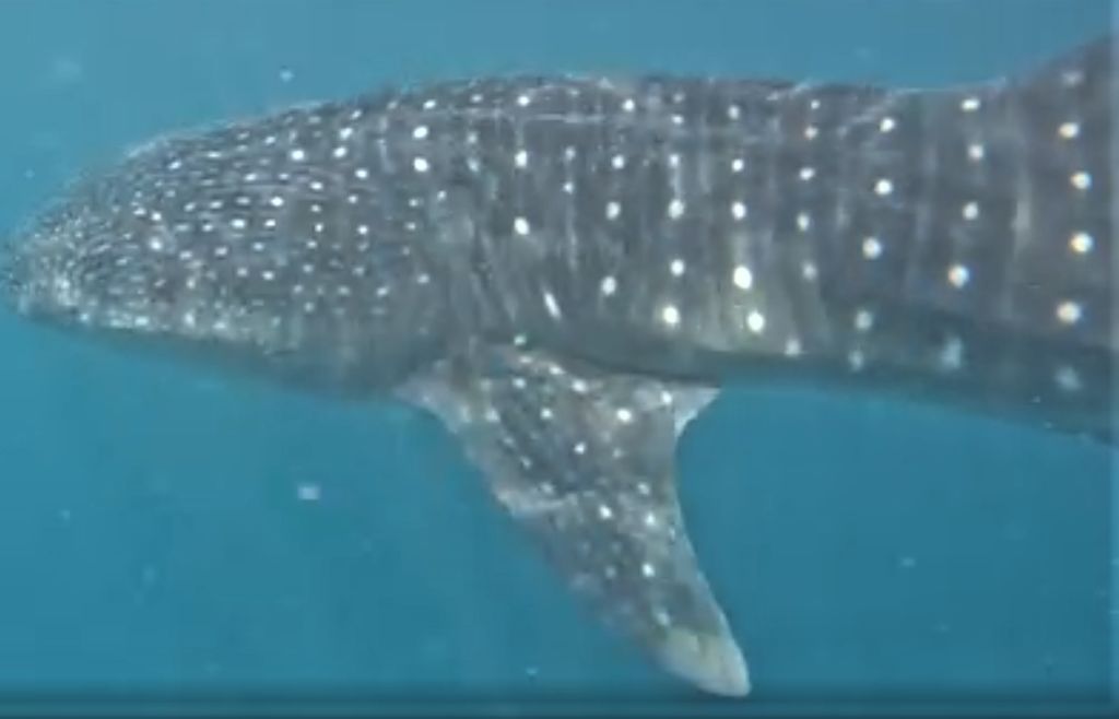 5c301dd1-774f-4145-bf6d-4de7abcc2e0a