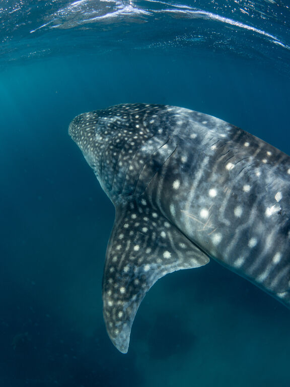 5e5c892e-5ec8-4225-9993-addd4d4148cc