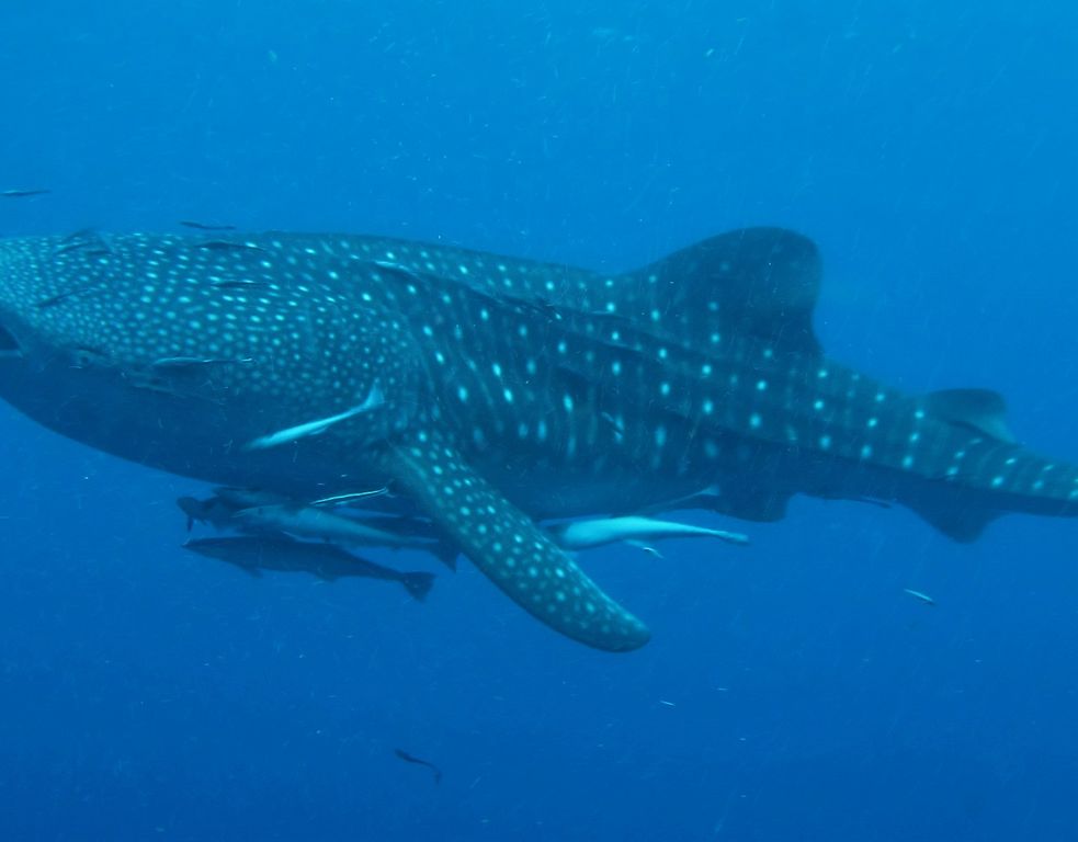 9377d493-5e42-4756-a96b-fdddda6da532