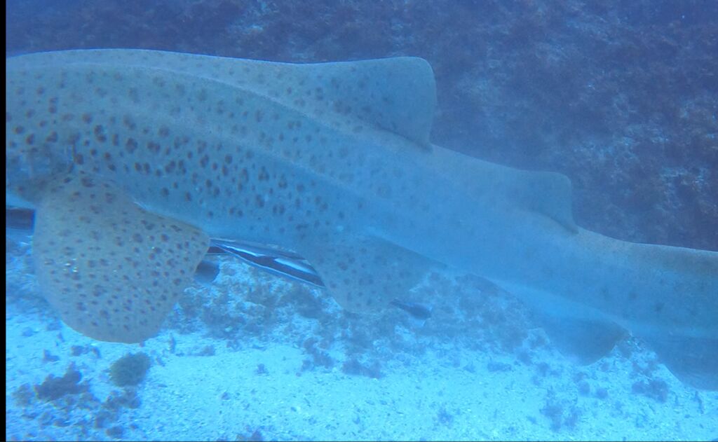 857bd346-5894-4420-b6de-5a64a11a324b