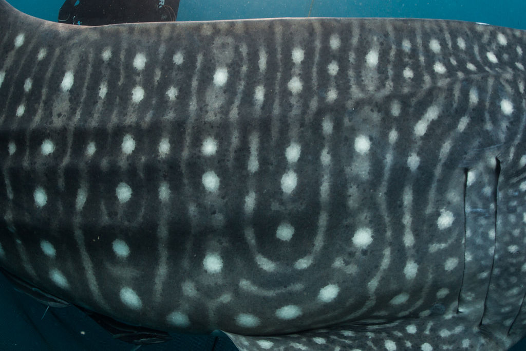 d49998b7-f479-4b2a-a396-f6b83e2fecd7