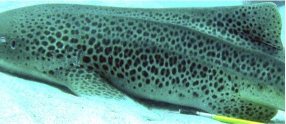 1aeff15b-5056-4de0-bd3b-c3f7cc6f8a31