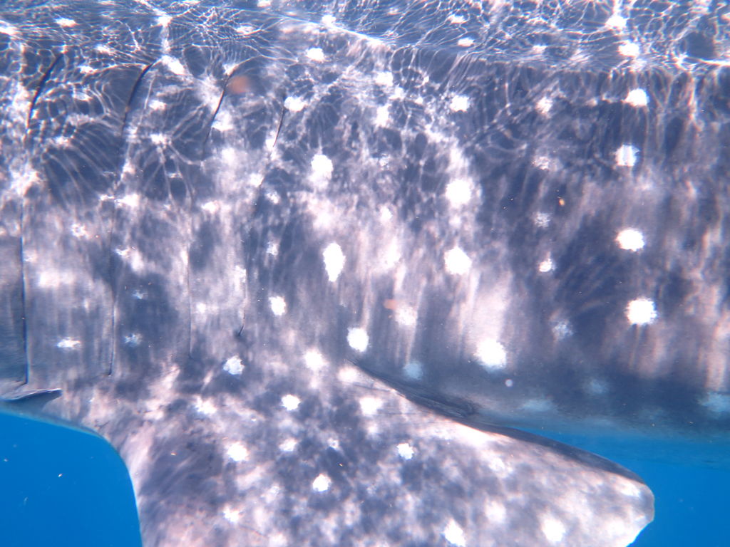 aece3b2a-9bf3-41e0-8f32-90f3bbf6b604