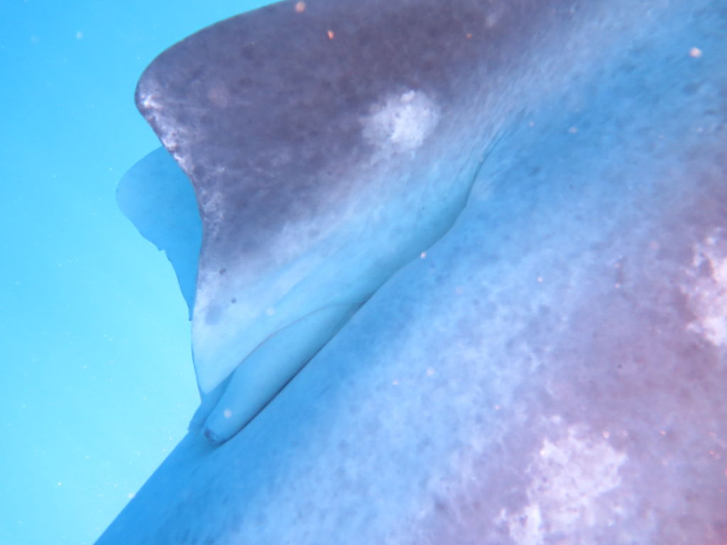 aece3b2a-9bf3-41e0-8f32-90f3bbf6b604