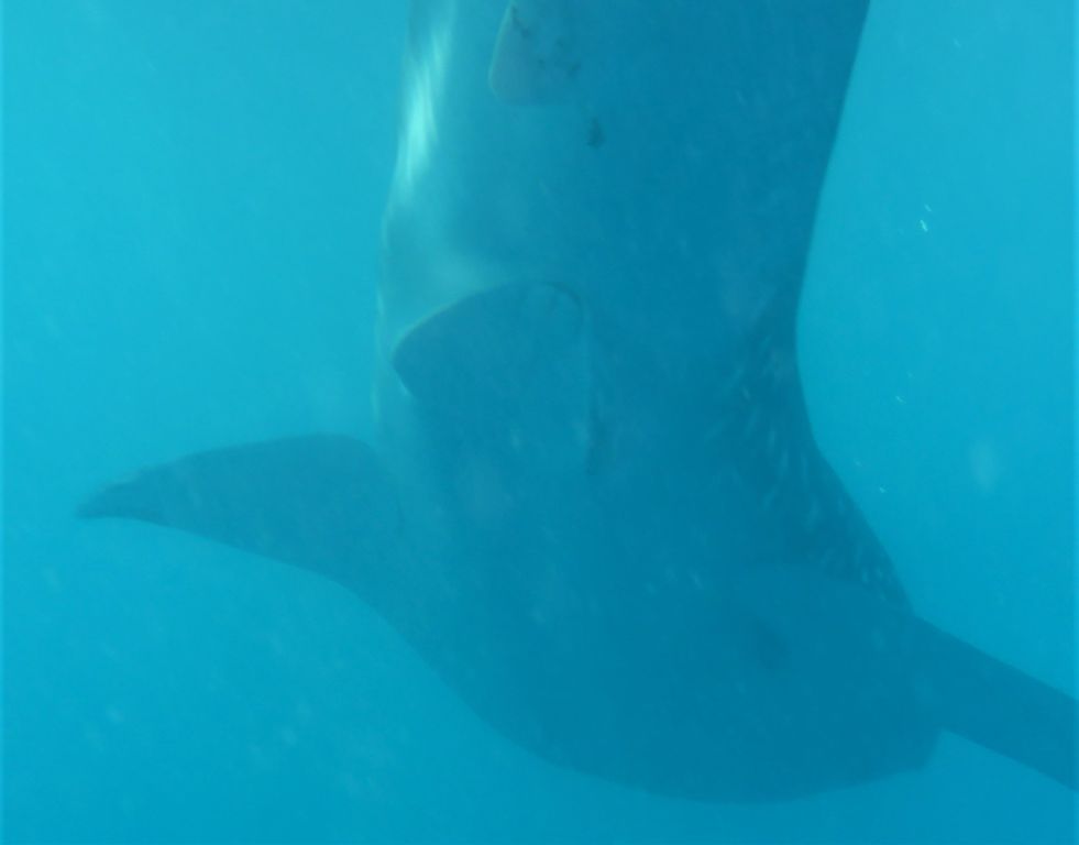 701680c9-4d9c-42d0-a3af-e917b2d9eaf3