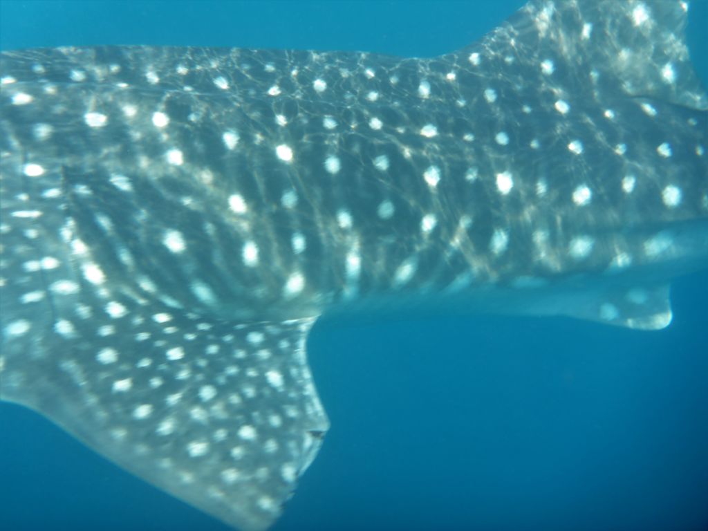 701680c9-4d9c-42d0-a3af-e917b2d9eaf3