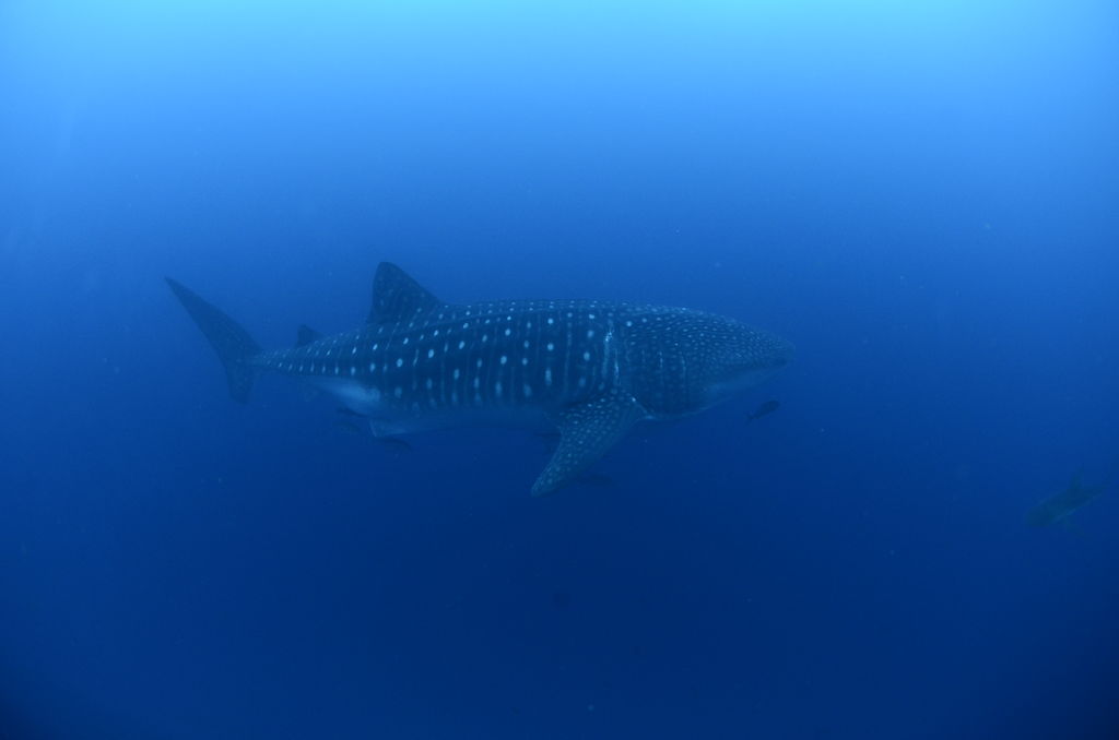 98fe535f-f9b3-4f7a-91fa-2148fc8a105e