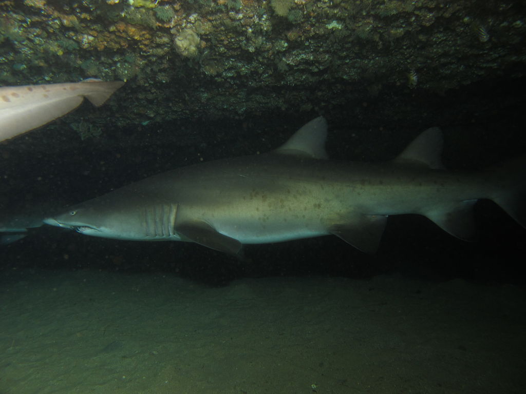 bcdeb42a-b97e-4b2c-ae5c-d1532786036a