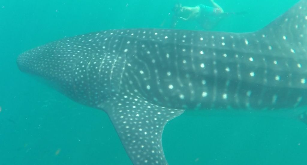 1799a662-d413-4485-a82d-03243f513bfd