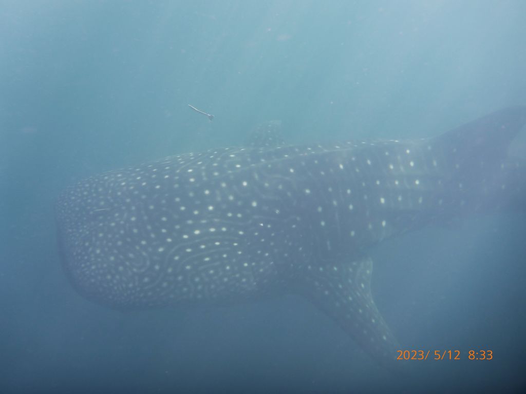 eb2919a9-da9c-4d74-baef-900ed0512e8e