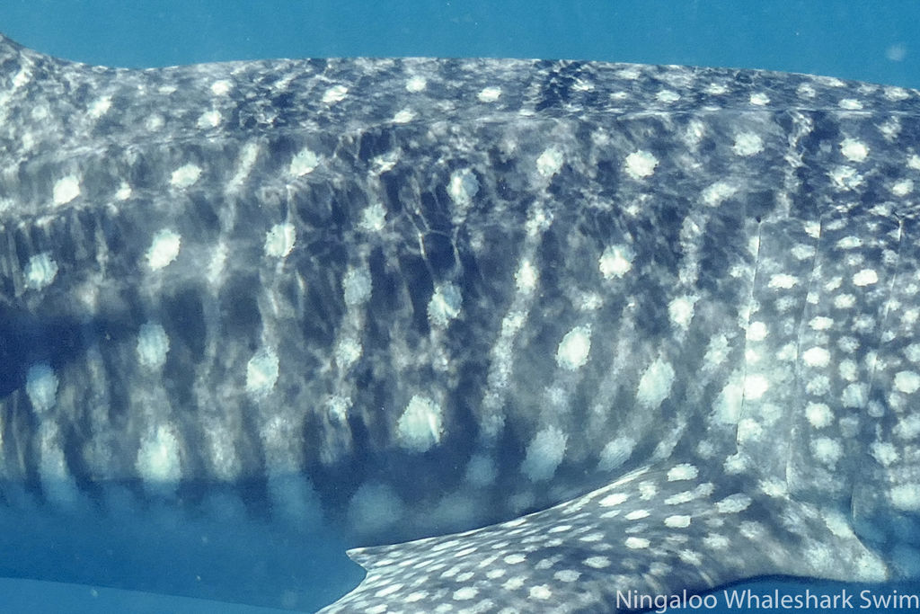 4717cde0-5c15-4bc9-af68-23d160a112dd