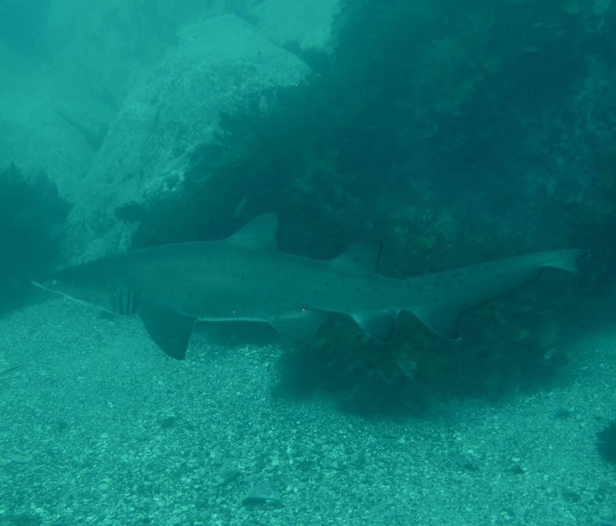 935e30a9-03ad-46ba-8c2b-fcbecbe7e417