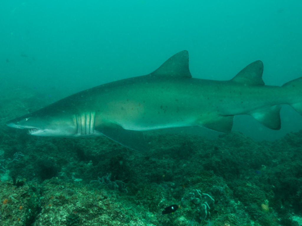 eb448765-952c-4ea9-83a0-4eedfa76251e