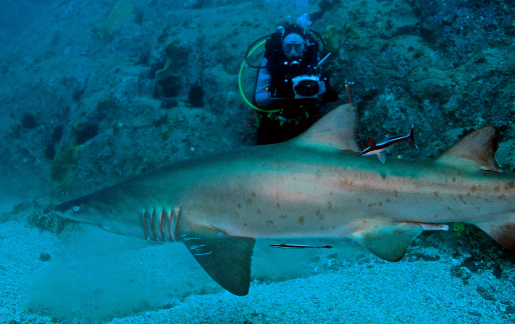 4ff8a659-a489-4e30-9f9b-e468b289311c