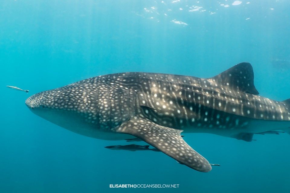 7d02c217-c372-4e33-a1eb-0313f9c606fe