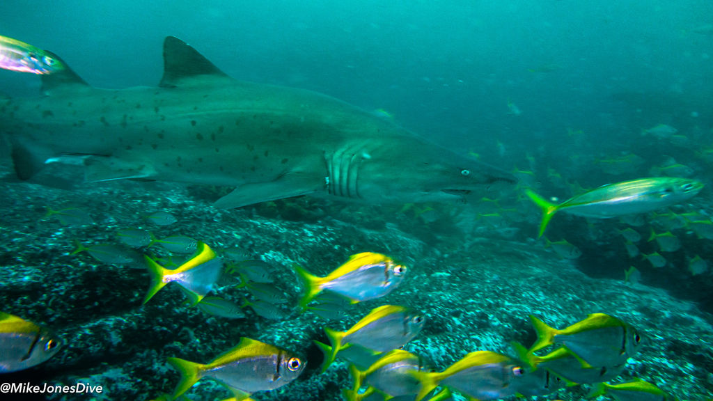 a0e2955c-d1c5-473e-a4c0-9cb3c08258ac