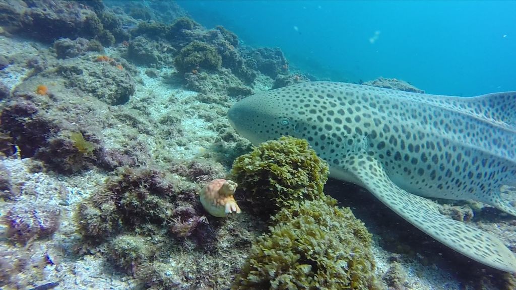 68b485ac-80be-4b72-ade5-7af7598294d1