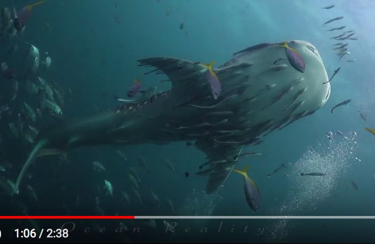 389f57a7-a1c5-4abd-9794-e518d0767ad1