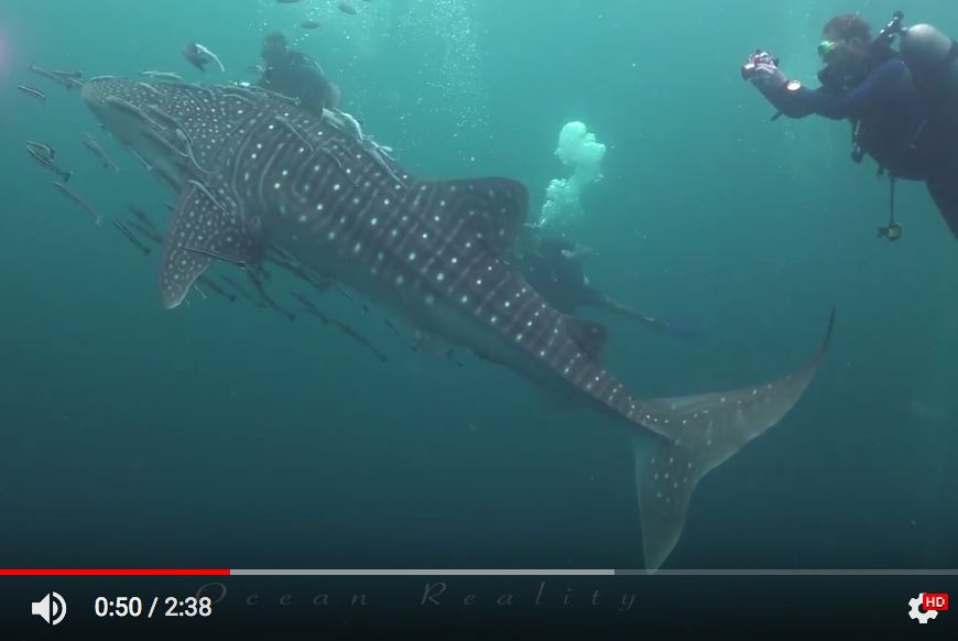 389f57a7-a1c5-4abd-9794-e518d0767ad1