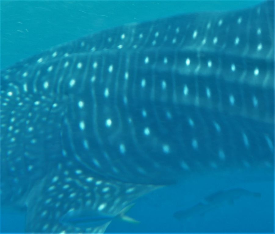 2a940deb-ee62-4938-b032-d12069b8531a