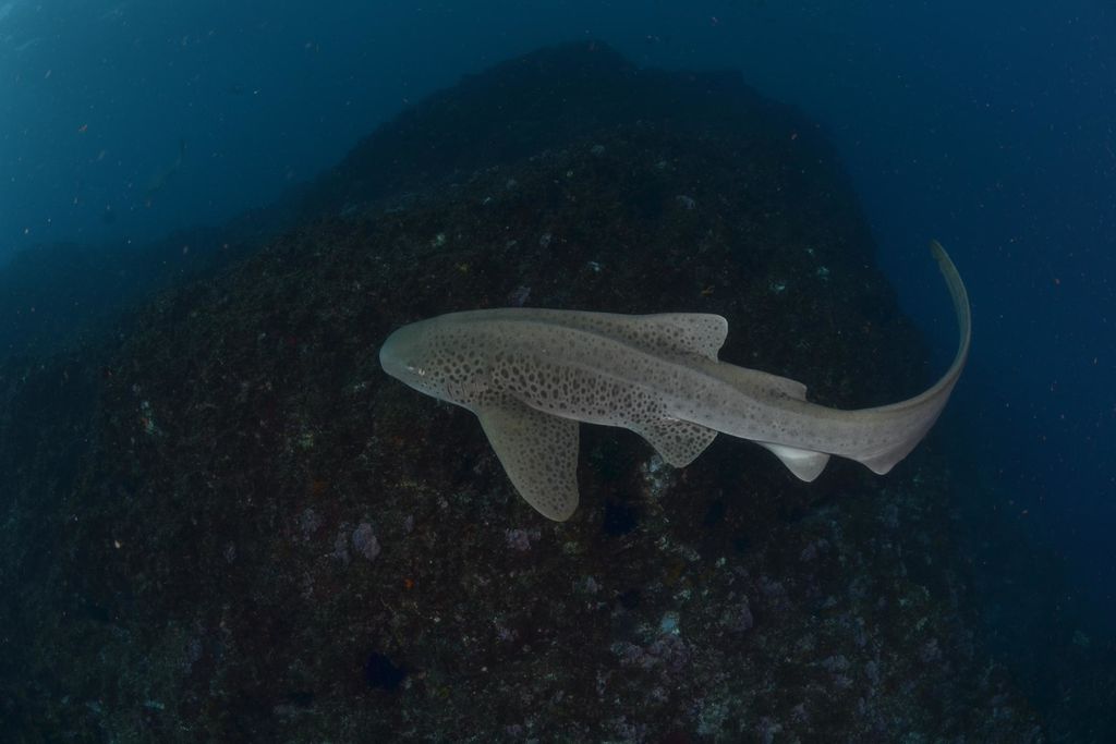 37cf8f6d-62a1-4290-abb0-7264ed74c90c