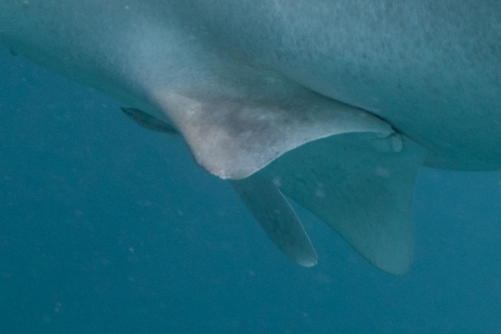 ec75217e-fdc3-4f92-b6f9-b40215bfa00c