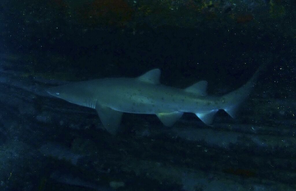 b94d8848-e2e5-4f27-9392-64ce29f21447