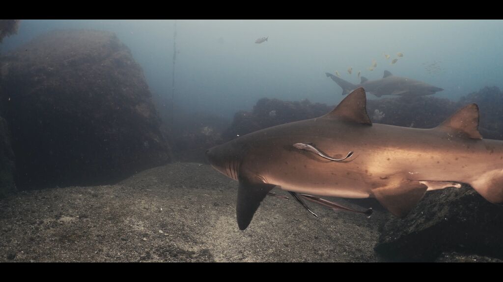 fbd192a5-5b67-4145-89a9-c4cc3aaace47