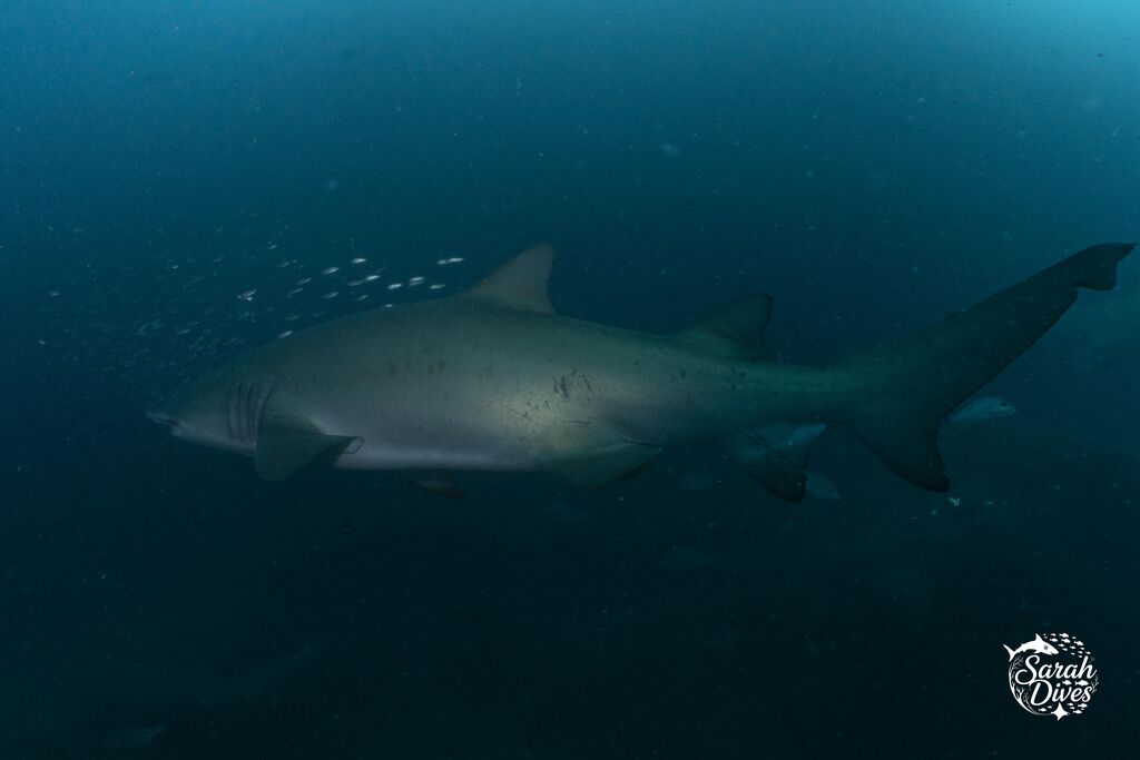 1a47b649-5919-482f-9ca0-8e09ba2ff877