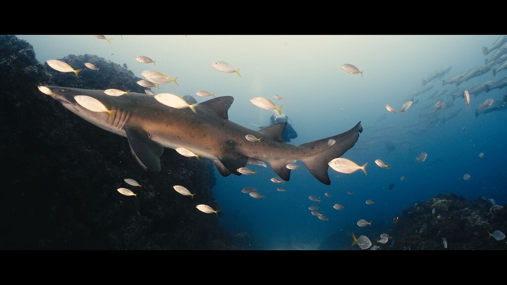 e0b9f934-4825-4126-bd2c-3ac0a3be7b6e