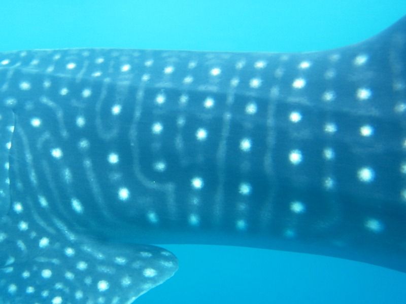 1feee554-ba97-442f-afcf-4f9abc0e91ef