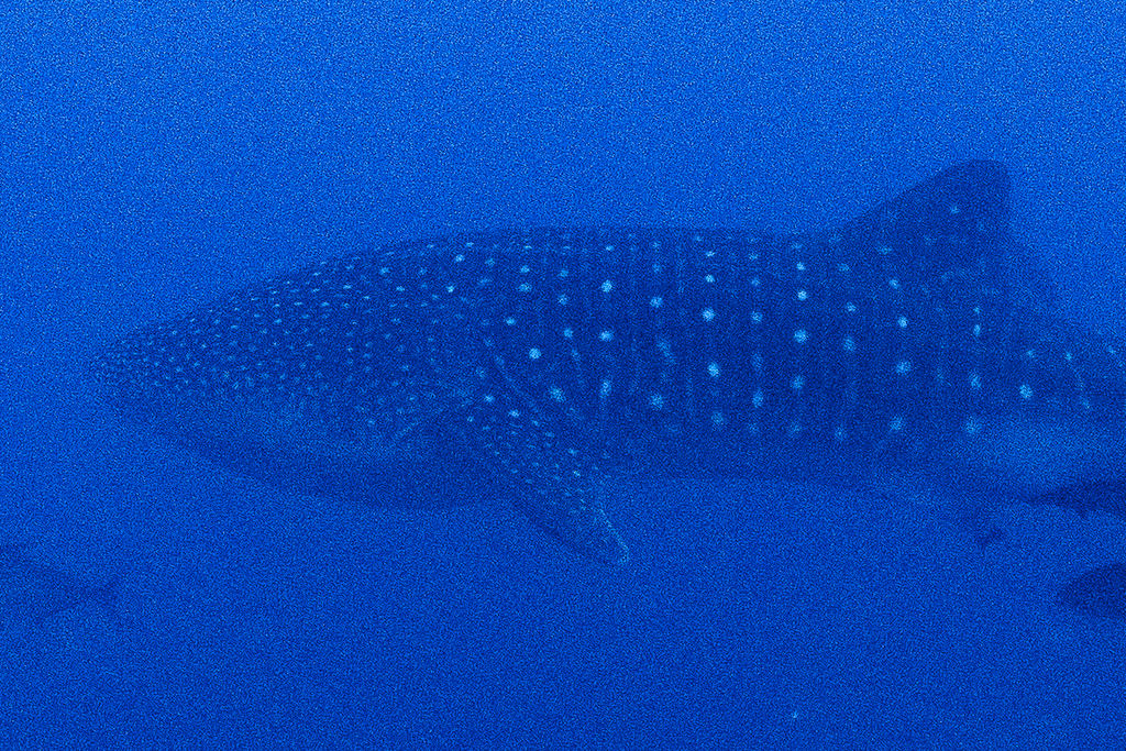 5d98e663-a6da-4b4f-939e-79af8de84f80