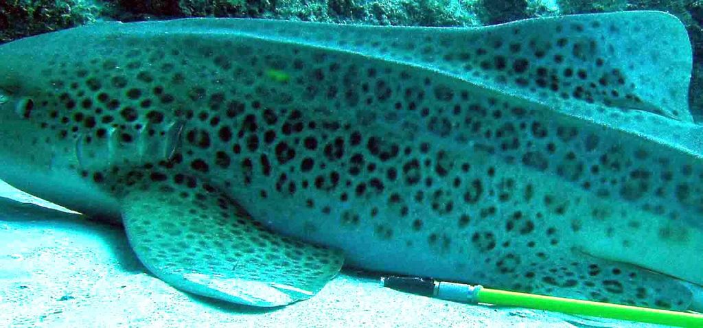 1757b7f8-37d6-481e-a506-9b61307b5044