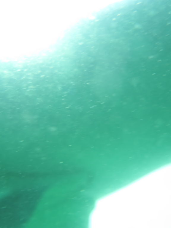 f464a1d9-74a1-4f20-b33e-018d5d1ed4e8