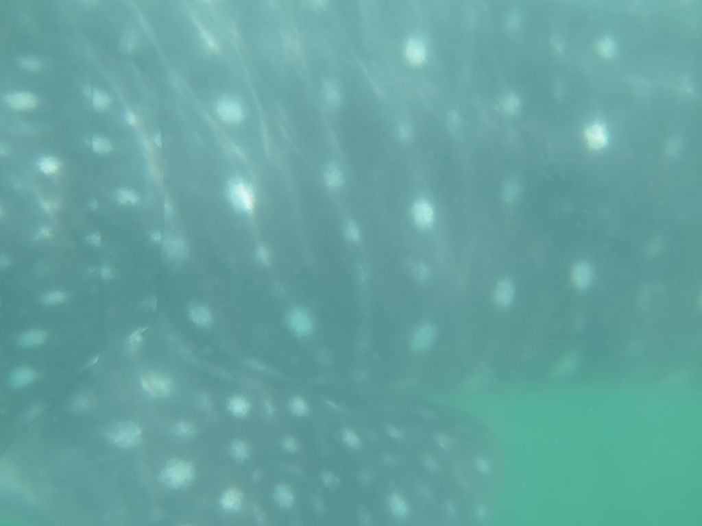 f464a1d9-74a1-4f20-b33e-018d5d1ed4e8