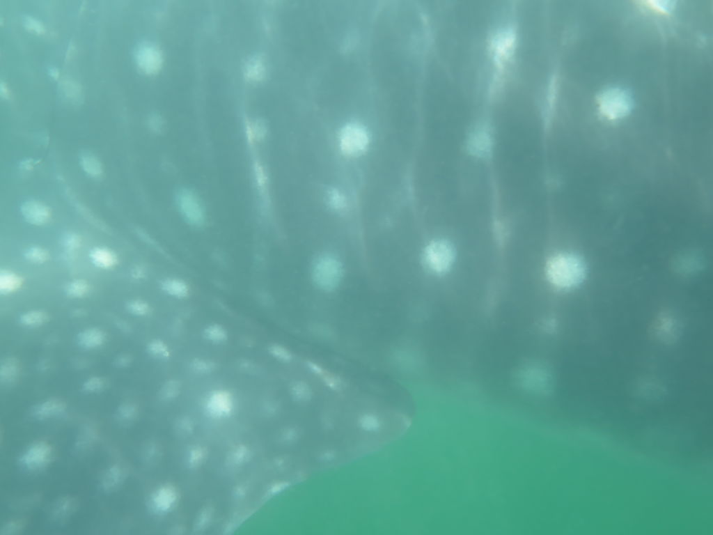 f464a1d9-74a1-4f20-b33e-018d5d1ed4e8