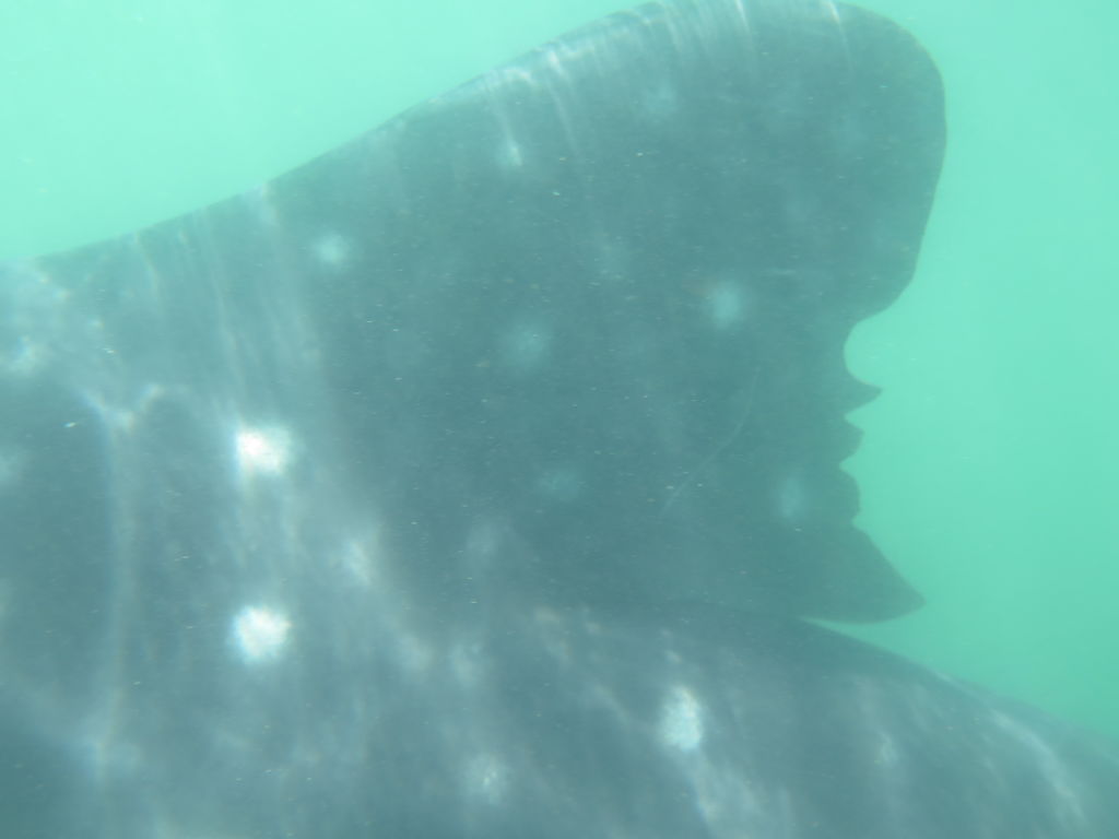 f464a1d9-74a1-4f20-b33e-018d5d1ed4e8