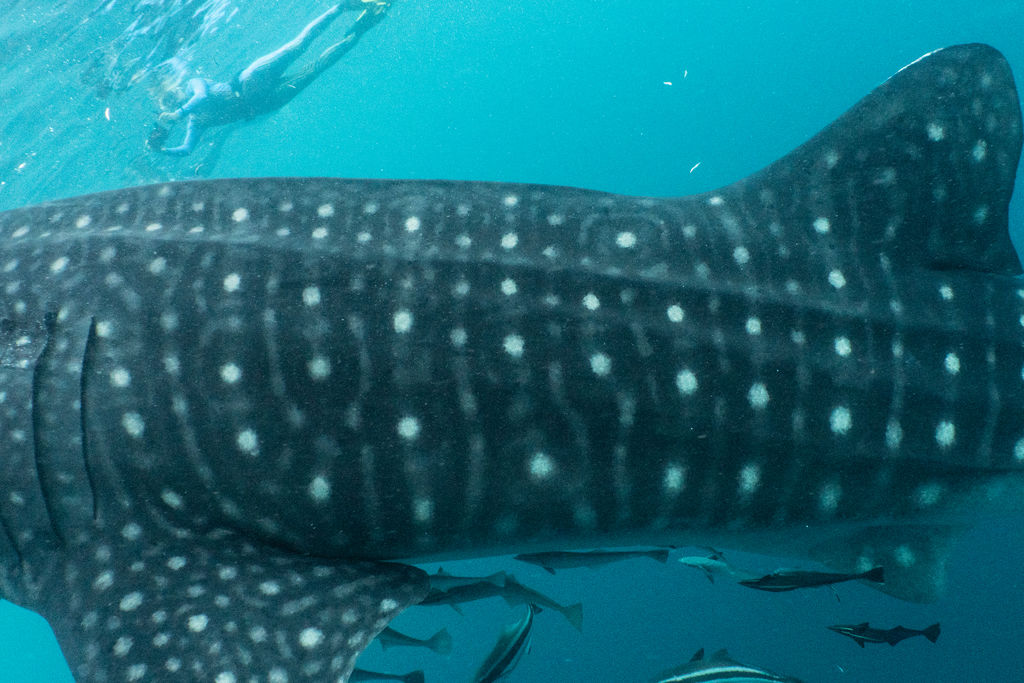 e86bca07-2ac6-4545-b0d5-b4ad01a0906e