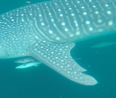 531be8b1-86ac-40e6-ab71-e97c6abf003c