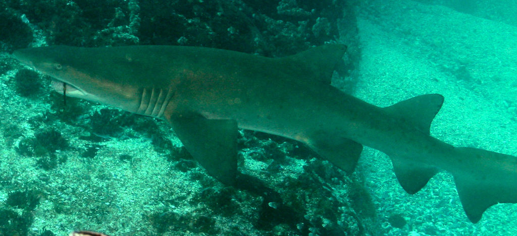 535c395d-16ad-42ed-880c-a39be0805346