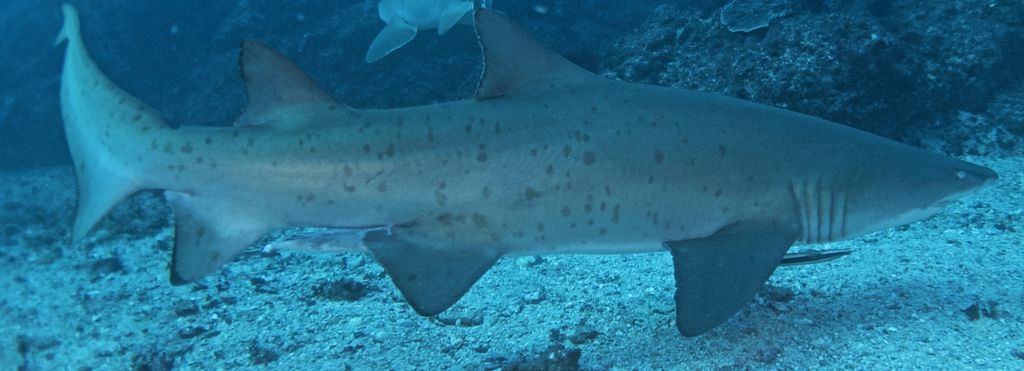 dcc030f8-1dc5-4401-b14b-ee392eb4ca5c